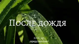 После дождя - ILYA SH STUDIO