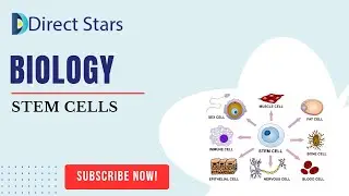 Direct Stars Biology Stem Cells