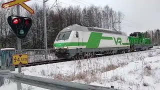 Junia nummelassa Vuonna 2026 10.1.