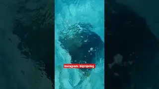 Чем заняться в ОПАСНОЙ Колумбии? о.Сан-Андрес