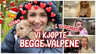 #1 VLOGMAS - Vi kj&oslash;pte BEGGE valpene😍🐶