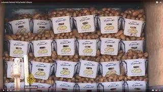 Lebanon's Bekaa farmers hit by Syria-Jordan border closure