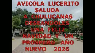 AVICOLA    LUCERITO     SALUDA   A   CHULUCANAS