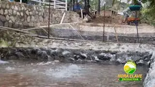 PRODUCCION DE TILAPIA EN ESTANQUE DE CEMENTO PARTE 1