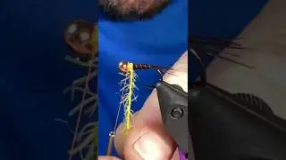 Straggly Nymph Stillwater Fly Pattern Fly Tying Tutorial