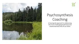 Psychosynthesis Coaching, the 'Soul Guide' approach