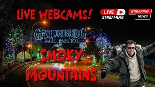 01/26/26 LIVE Webcams in the Smokies! - Explore Tennessee