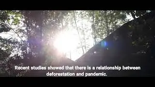 You are forests' protector