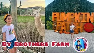By Brothers Farm🌻fun things to do in Miami