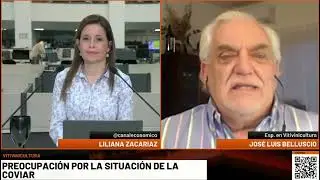 Agravamiento problem&aacute;tica COVIAR 🔴 Canal E EN VIVO   YouTube   Google Chr