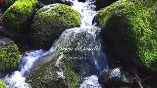 🎧Suono del Ruscello 🍃🧘🏽☔🌲🍃 Suono dell'acqua che scorre - Asmr 😴 Relaxing Sounds of Water Stream