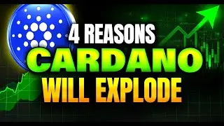 4 Reasons Cardano ADA Is The Best Altcoin Blue Chip for Oct 2025
