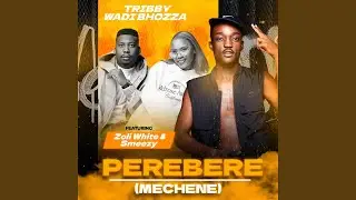 Perebere (Mechene) (feat. Zoli White Smoke & SmeezyOn The Beat)