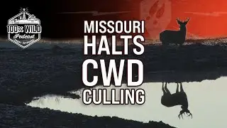 Is CWD Culling Over? Jason Sumners on the Future of Missouri Hunting |100% Wild Podcast Ep. 456
