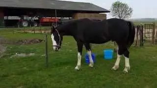 Onderonsje met Elano