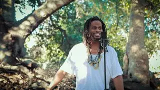 Now Alive - AFINI