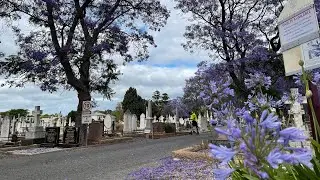 ទីបញ្ចុះសពនៅអូស្ត្រាលី Cemetery in Adelaide