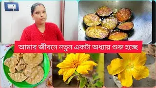 আমার জীবনের নতুন এক অধ্যায় শুরু || নতুন অতিথি এলো বাড়িতে || কেউ বানিয়ে দিলে খাওয়া যায় || 