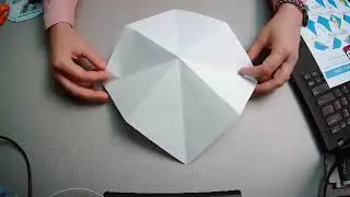 Origami Peace Crane