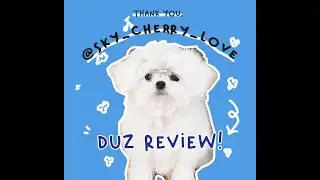 [REAL Review] Real Review #4
