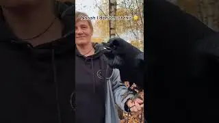 I can&rsquo;t never trust this bird 😳