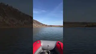 Рыбалка
