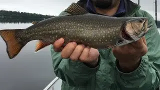 Maine Brook Trout Fishing 2017