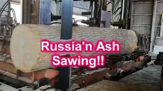 Russia'n ash Sawing!!