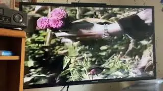 The Eureka Mall - Eureka, California - TV Commercial - 1999