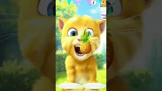 eating talking ginger 2 🍎🍎🍒🍉💔#talkingtom2 #talkingginger2 #talkingtom
