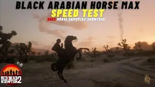 Black Arabian Horse Max Speed Test | RDR2 Horse Gameplay Showcase
