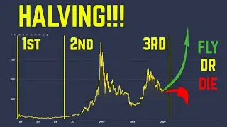 Prepare for the Next 4 Year Crypto Cycle - What Should You Do?