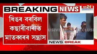 ধিঙত ট্ৰেক্টৰেৰে হাল বাই মাতব্বৰে নষ্ট কৰিলে অসমীয়াৰ ৫০ বিঘাতকৈ অধিক সৰিয়হ খেতি