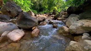 Tranquil River Ambience for Stress Reduction