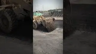 Bulldozer in Action: Amazing Skills #shorts