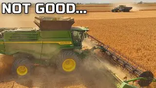 Bad Soybean Yields AND Prices Could Break Us!