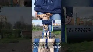 Dog Acting Out? Try Brain Training for Dogs  | Stop Bad Behavior Fast!