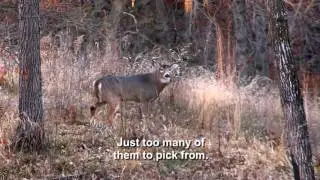 Winchester World of Whitetail - Nebraska Brutes - Outdoor Channel
