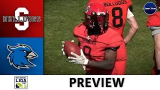 PREVIEW |&nbsp;Spandau Bulldogs vs. Erfurt Indigos | Regionalliga Ost (3. Liga) | 2025