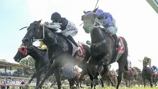 2017 MRC Hareeba Stakes