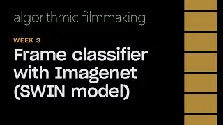 Week 3: Imagenet Frame Classification (SWIN Model)