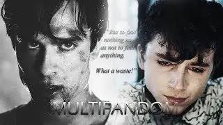 Multifandom | 