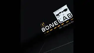 Tutorial on how to get the skeleton in bonelab