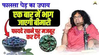 (फालसा पेड़ का उपाय) एक बार में भाग जाएगी बीमारी, फायदे खाने पर मजबूर कर देंगे
