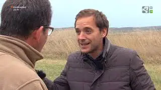 Plantaciones de trigo en sistemas de regadío y de secano