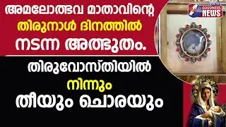 തിരുവോസ്തിയിൽ നിന്ന് തീയും ചോരയും|Bleeding Eucharistic Miracle of Betania Venezuela 1991|Goodness Tv