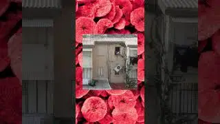 L'aria condizionata cade 😂 VIDEO #divertente 😆 Prova a non #ridere 😅 #disaster #fall #sfortuna