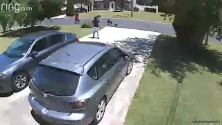 COVID-19 reason for vicious dog attacks