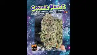 Cosmic Runtz THCa Flower | AA Indoor Indica | 29% Potency | Sweet Berry Cream | Bulk #THCa