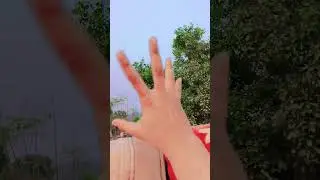 #bollywood 🥰🥰 hindi song hand video
